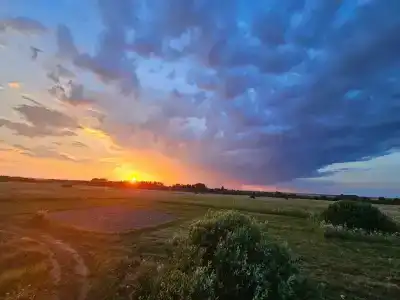 Дом Аиста - 37