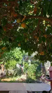 Villa Dundar - Kas - 14