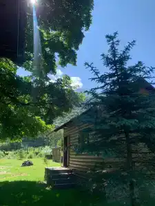 Платан - 19