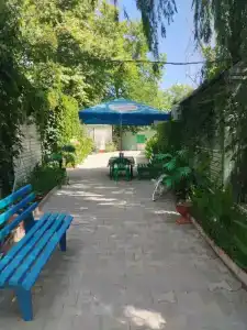 Горизонт - 10