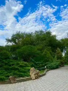 13 кордон - 59