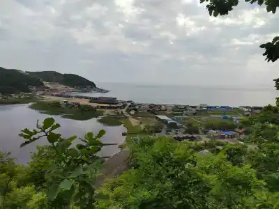Морской бриз в Шепалово - 43