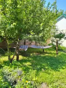 Гостевой дворик - 36