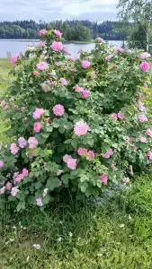 Семейный домик у озера - 4