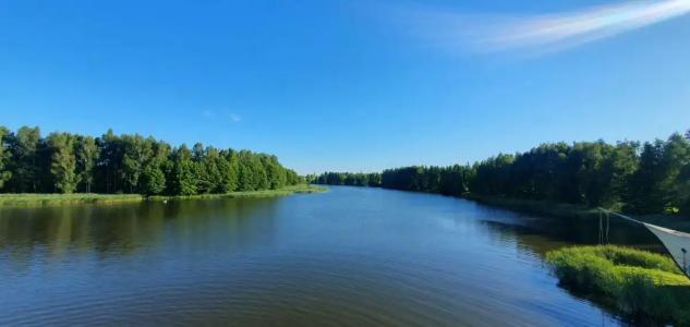 Николаевские Пруды - 11