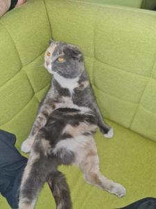 Вилла Малина - 93