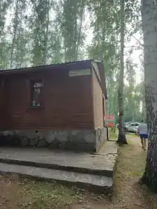 Берёзка - 59