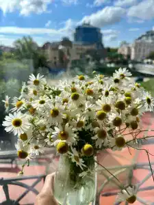 Старый город - 49