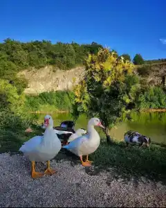 Коба-Чаир - 4