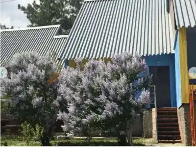 Чайка - 6