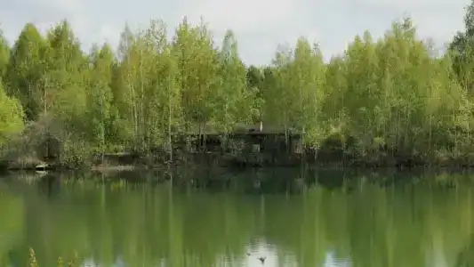 Лисья нора - 42