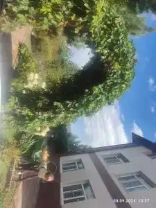 Сокольники - 39