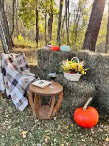 Ильинка лес - 40