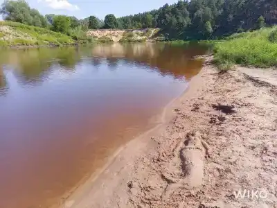 Белые бугры - 32