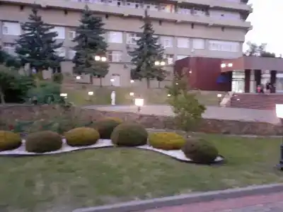 Дон - 85