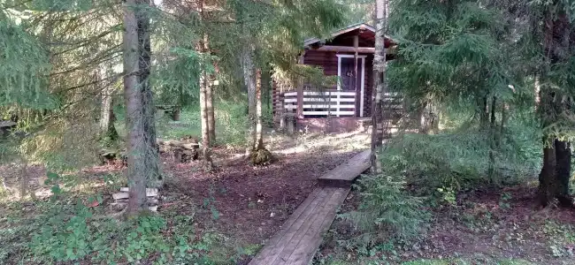 Лесной Дом - 35