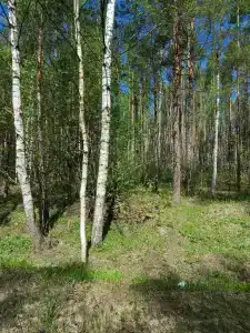 Харвик-холл - 23