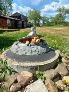 Остров Зеленый - 98