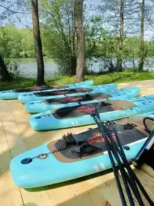 Гуси-Лебеди - 55