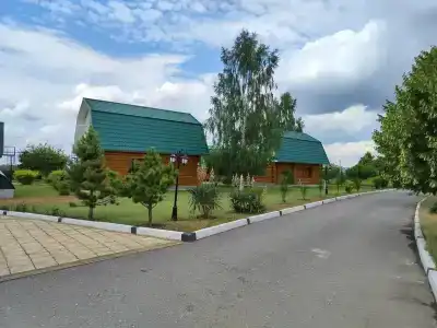 Асса - 2