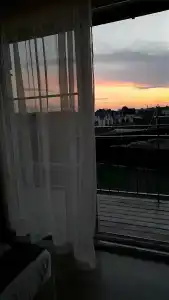 Белый Лотос - 43