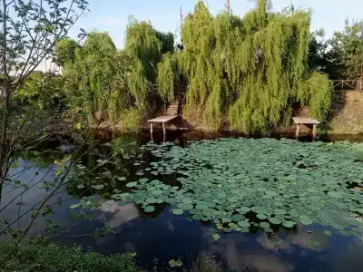 Афродита - 2