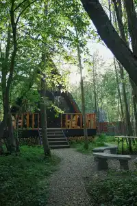 Барские поля - 60