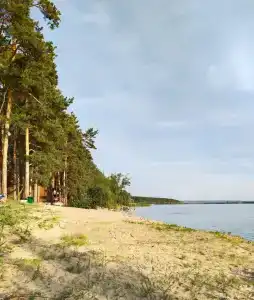 Ромашка - 68