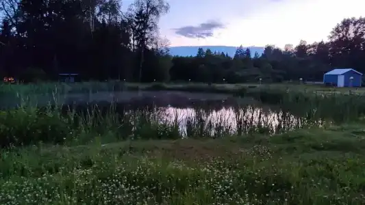 Березовка - 96