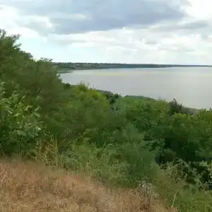 Лидия - 18