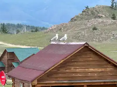 Мир Байкала - 100