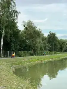 Арвайдæн - 41