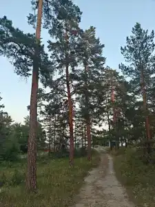 Солнечный мыс - 4