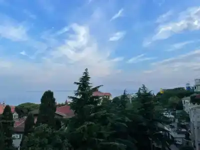 у Федоровича - 24