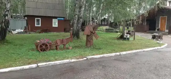 Березка - 37
