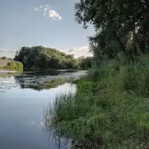 Островок - 47