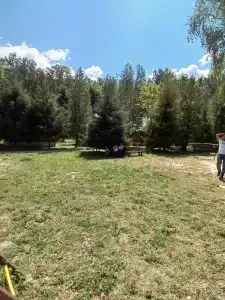 4 Сезона - Нефтяник - 62