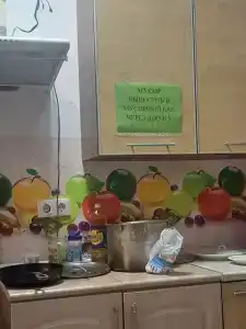 Домашний Очаг - 16