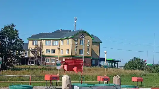 Ирис - 7