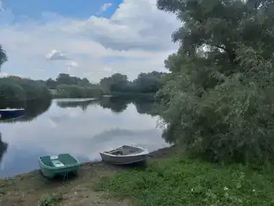 Каштан - 48