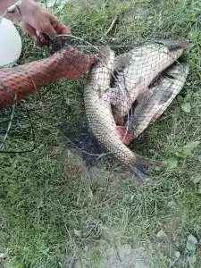 КЛЁВый хуторок - 6