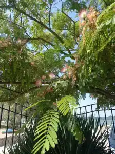 Пансионат Дельта - 97