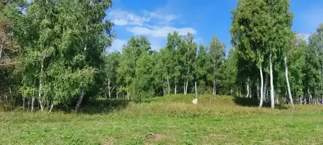 Пай-Тыт - 30