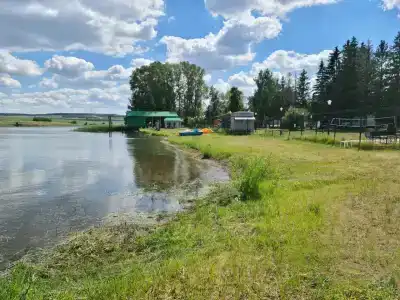 Дружба - 2