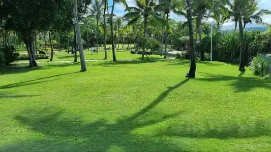 Sheraton Sanya Yalong Bay Resort - 29