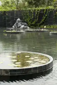 Park Hyatt Chennai - 35