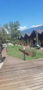 Платан-Paradise - 40