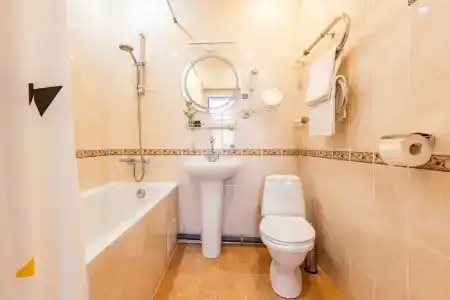 Бристоль - 20