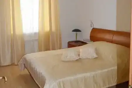 Лесная поляна - 50