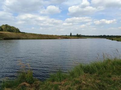 Сабурово - 92